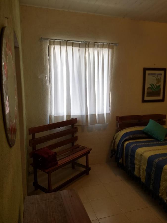 Tu Casa Oaxaca... Hotel Luaran gambar