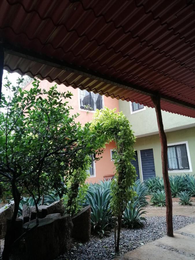 Tu Casa Oaxaca... Hotel Luaran gambar