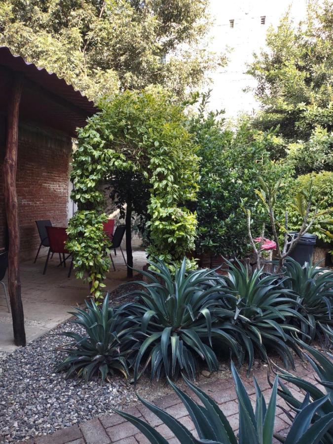 Tu Casa Oaxaca... Hotel Luaran gambar