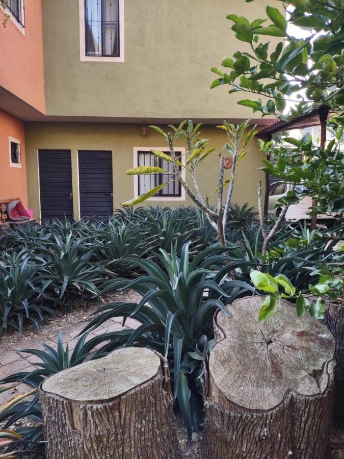 Tu Casa Oaxaca... Hotel Luaran gambar