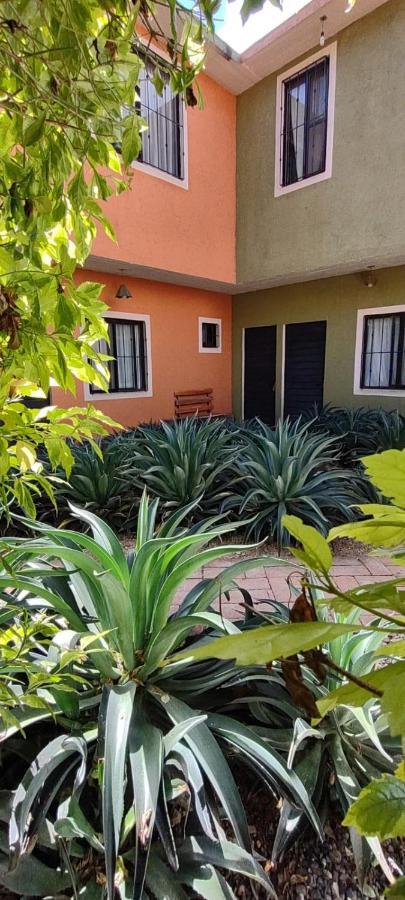 Tu Casa Oaxaca... Hotel Luaran gambar